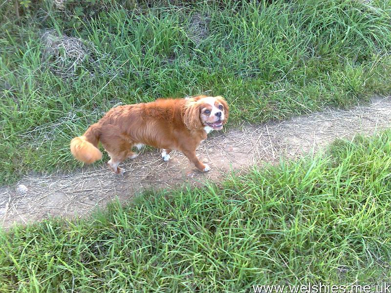 2011-08-08 08.jpg